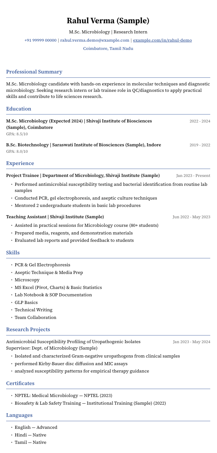 Classic resume template preview