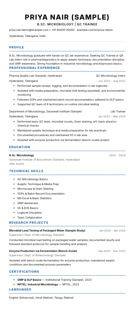 Industry resume template preview