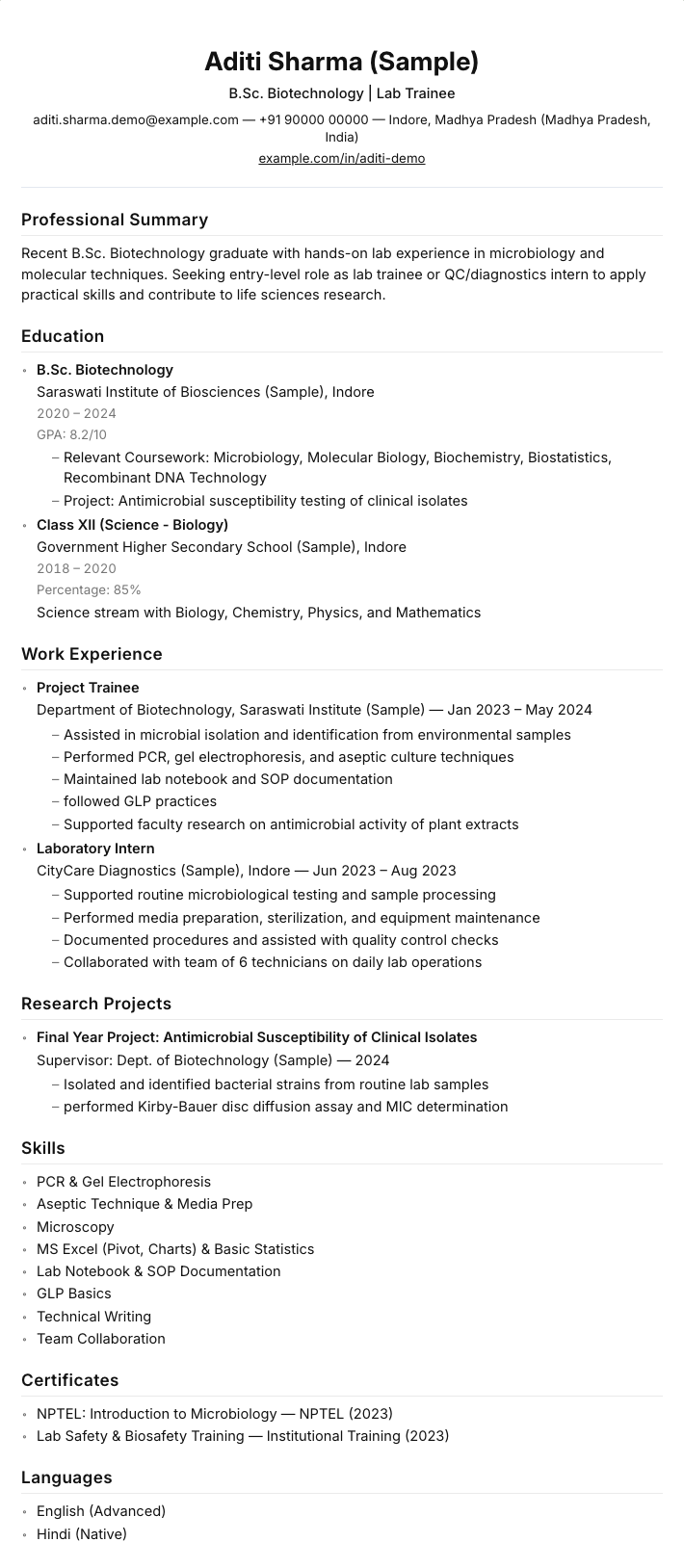 Modern resume template preview